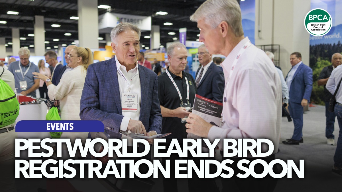 pestworld-international-early-bird-ending-hero